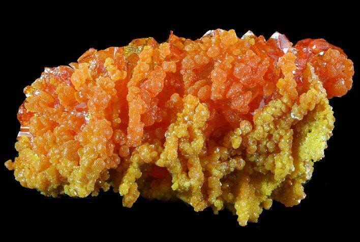 Bright Orange Wulfenite and Mimetite Cluster - Rowley Mine, AZ #49323
